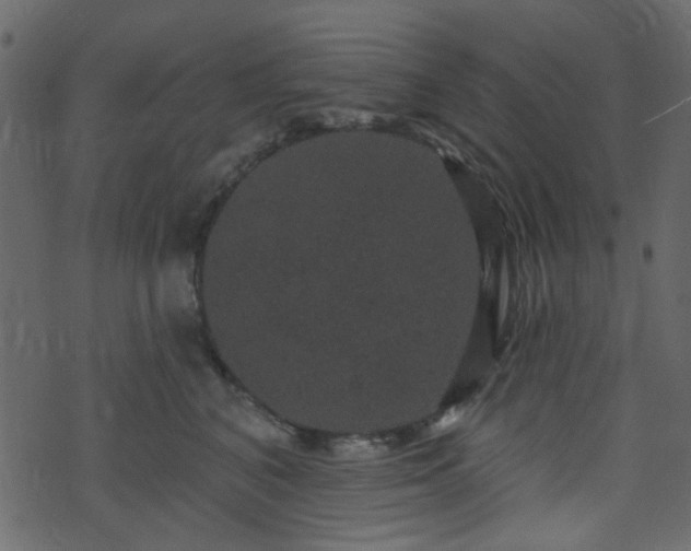 X0000070860616200606231254