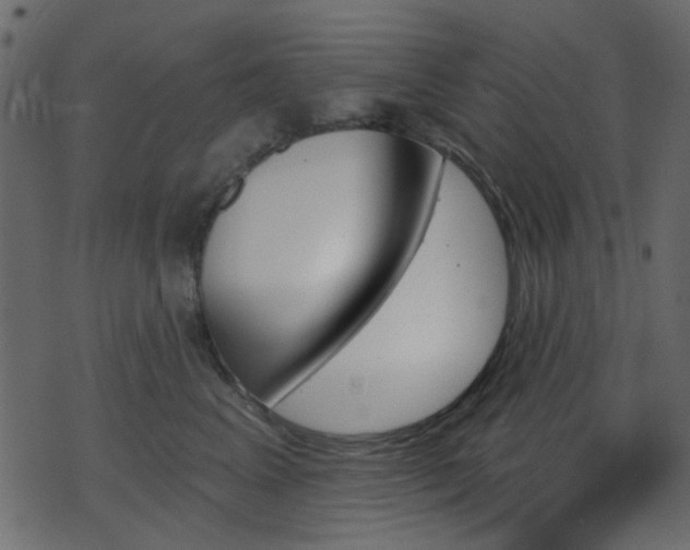 X0000070860617200606231254