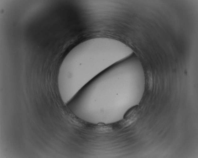 X0000070860619200606231254