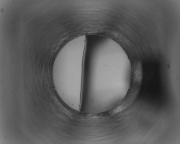 X0000070860620200606231254