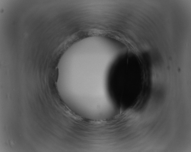 X0000070860621200606231254