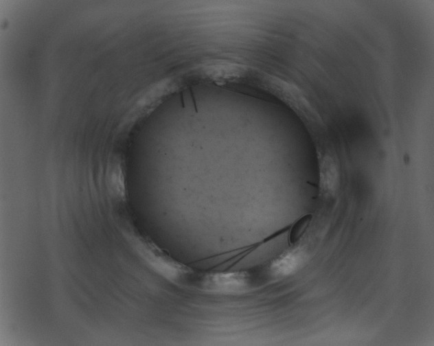 X0000070860622200606231254