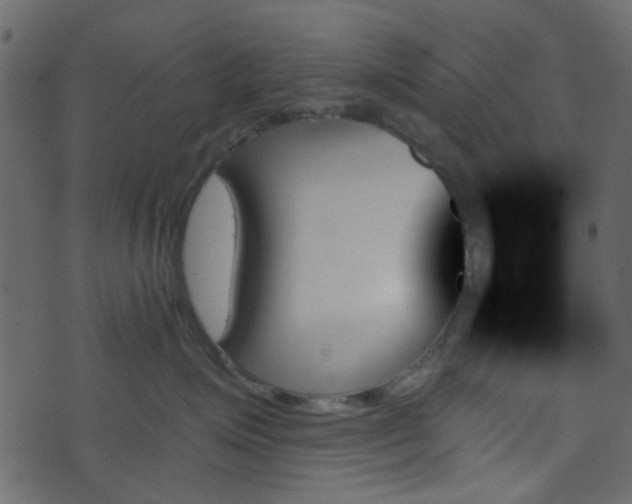 X0000070860623200606231254