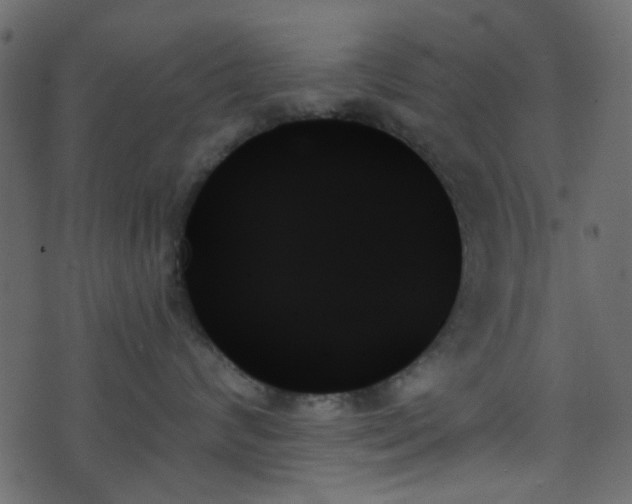 X0000070860624200606231254