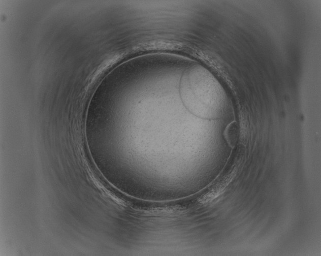 X0000070860625200606231253