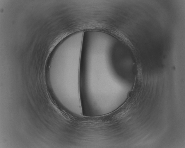 X0000070860626200606231253