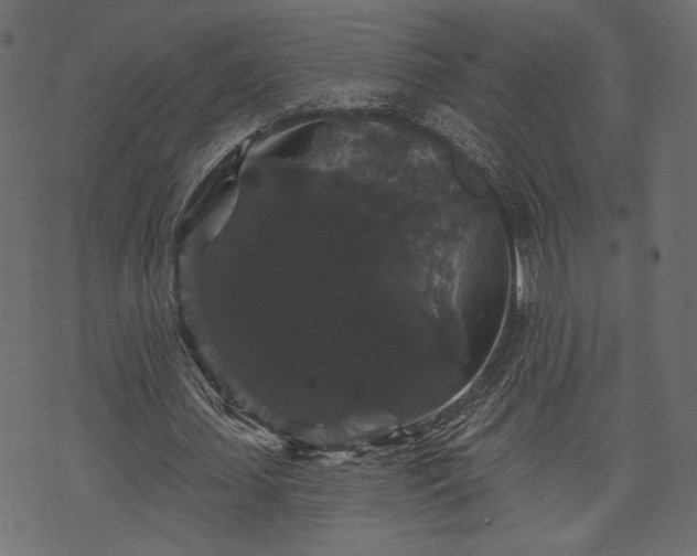 X0000070860627200606231253