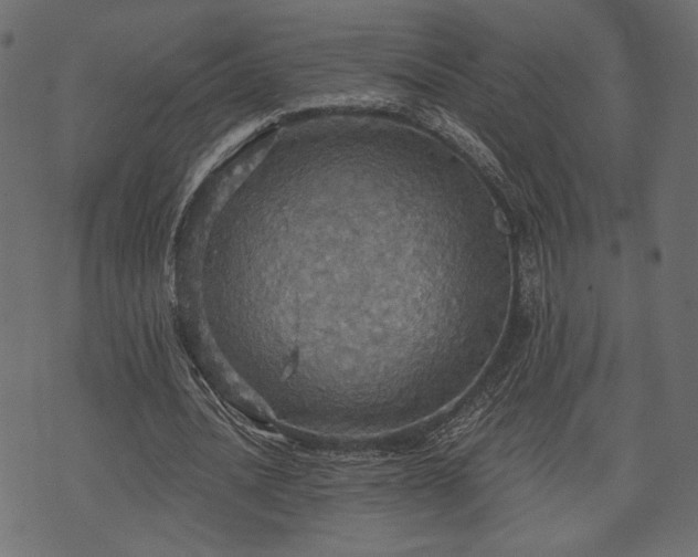 X0000070860628200606231253