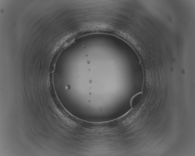 X0000070860629200606231253