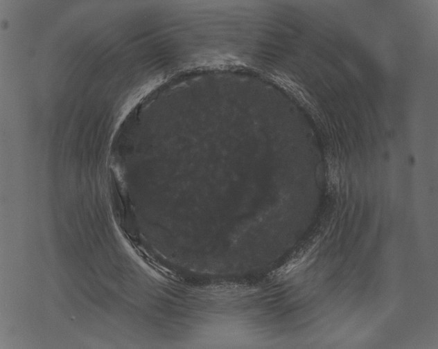 X0000070860630200606231254