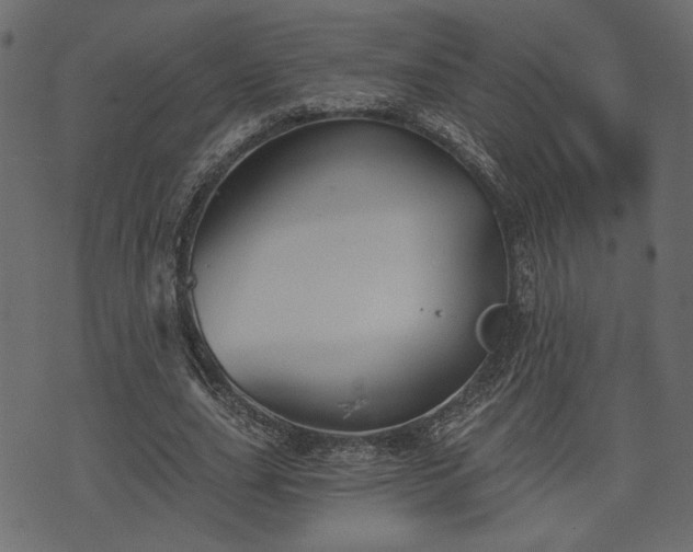 X0000070860631200606231254