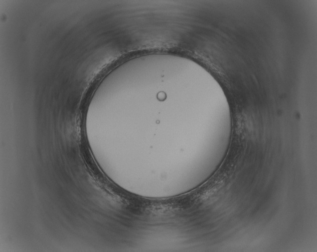 X0000070860632200606231254