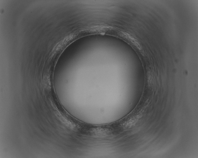 X0000070860633200606231254