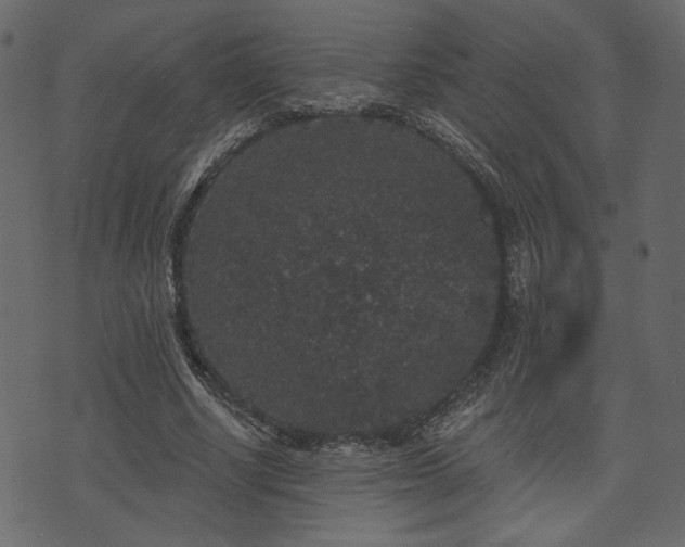 X0000070860634200606231254