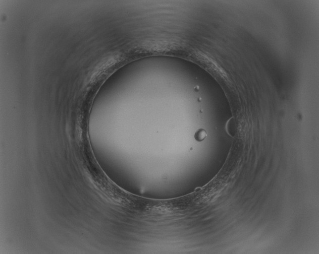 X0000070860635200606231254