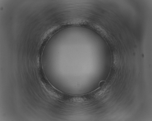 X0000070860636200606231254