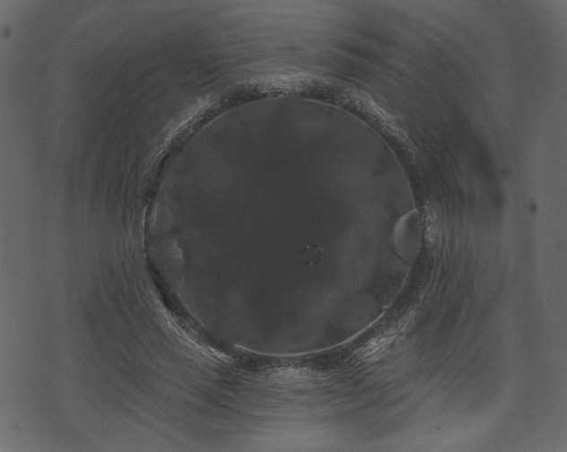 X0000070860637200606231254