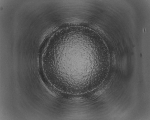 X0000070860638200606231254