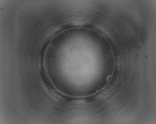 X0000070860639200606231254