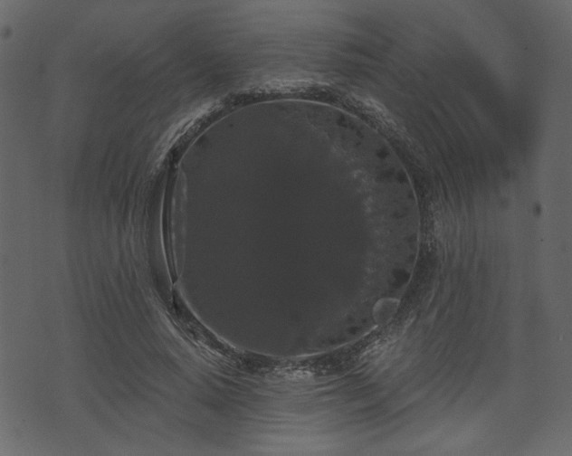 X0000070860640200606231254