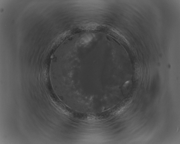 X0000070860641200606231254