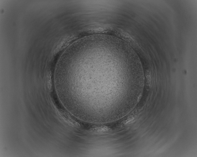 X0000070860642200606231254