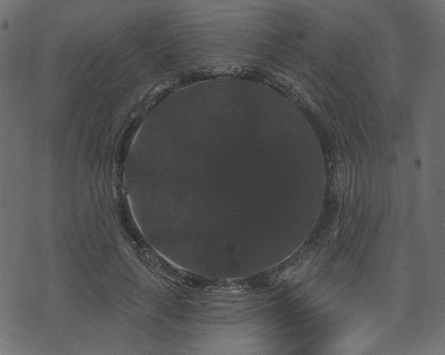 X0000070860643200606231254