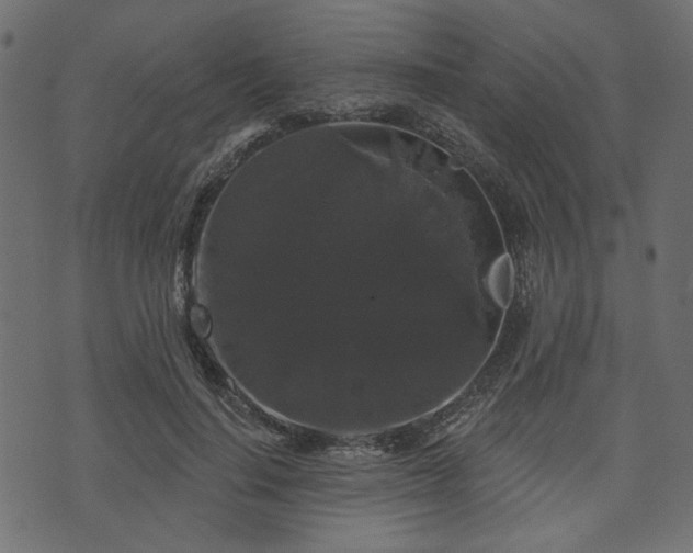 X0000070860644200606231254