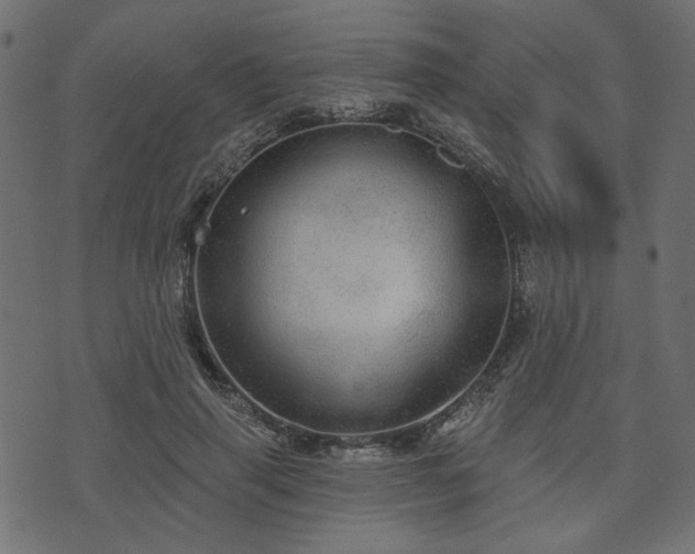 X0000070860645200606231254