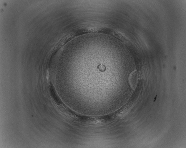 X0000070860646200606231254