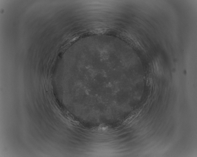 X0000070860647200606231254