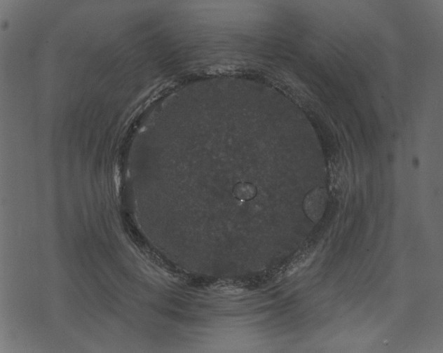 X0000070860648200606231254