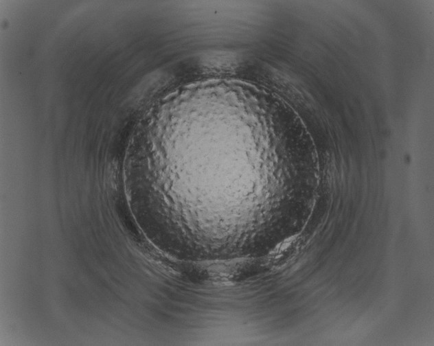 X0000070860649200606231254