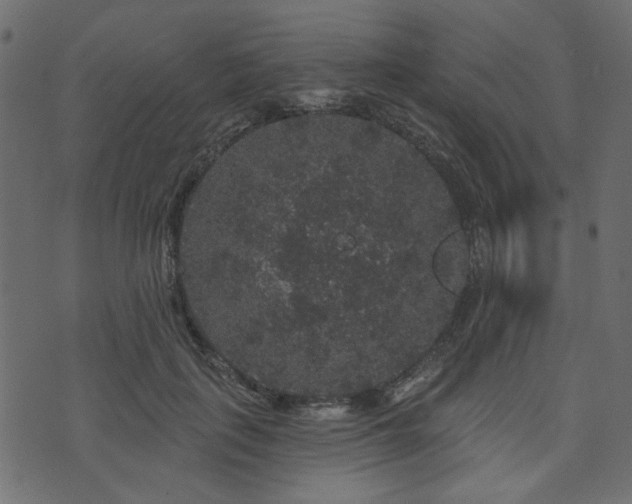 X0000070860651200606231254