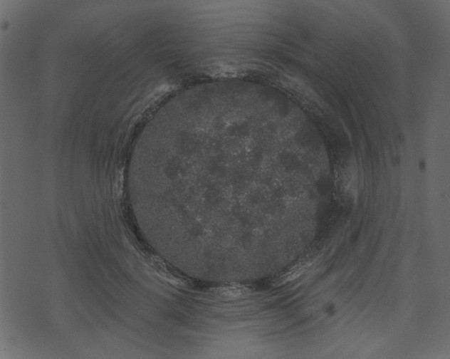 X0000070860652200606231254