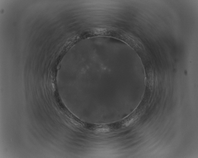 X0000070860653200606231254