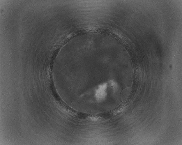 X0000070860654200606231254