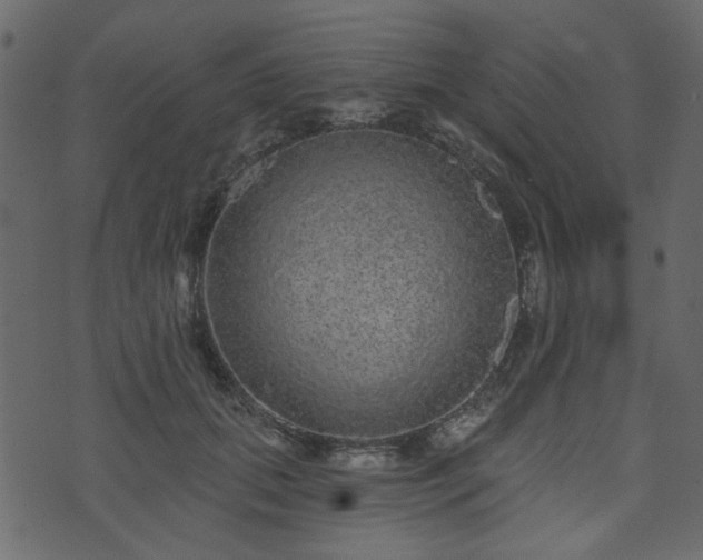 X0000070860655200606231254