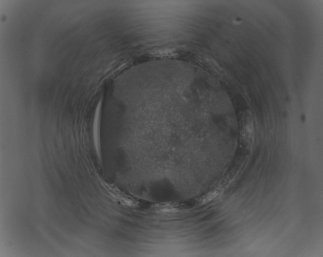 X0000070860658200606231254