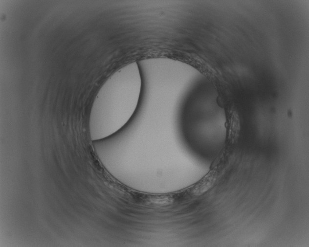 X0000070860659200606231254