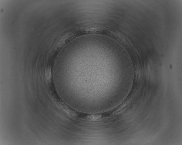 X0000070860660200606231254