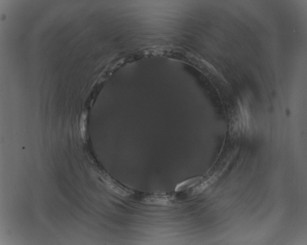 X0000070860661200606231254