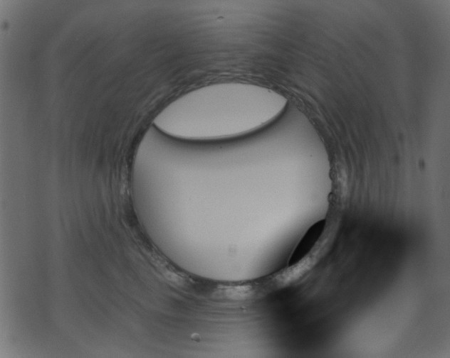 X0000070860665200606231254