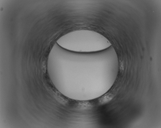 X0000070860666200606231254