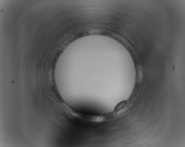 X0000070860667200606231254