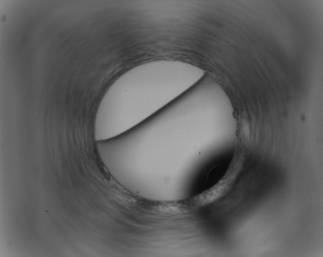 X0000070860668200606231254