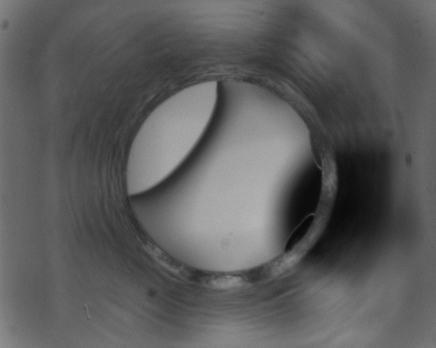 X0000070860669200606231254