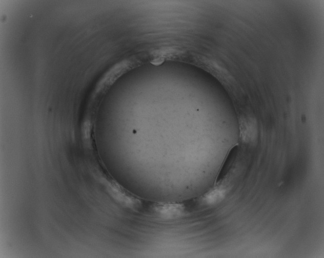 X0000070860670200606231254