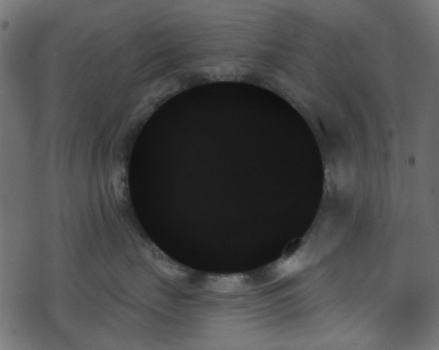 X0000070860671200606231254