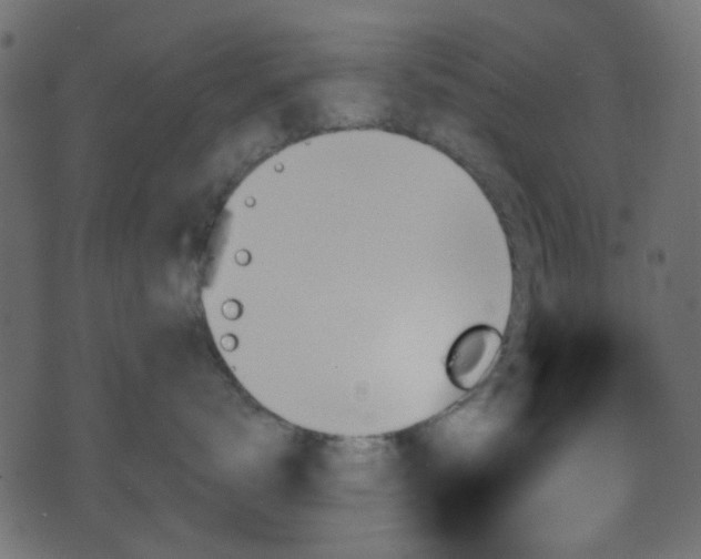 X0000070860672200606231254